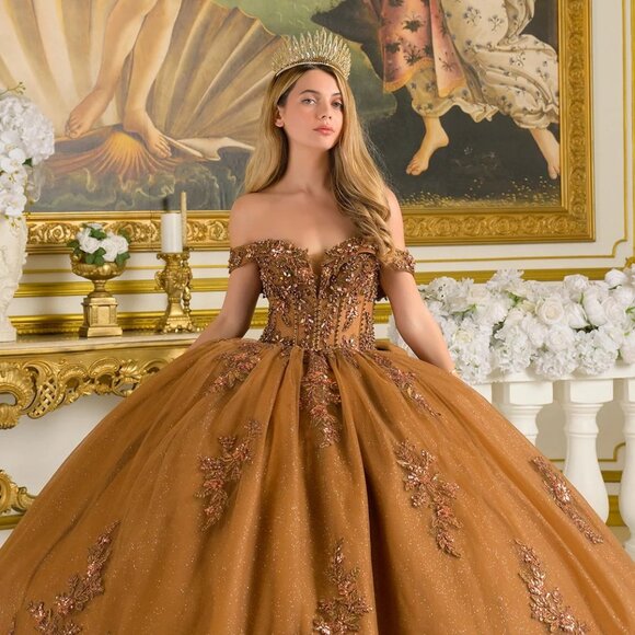 New Brown Beaded Quinceanera Tulle Dress w/ Layered Skirt & Back Bow GL3811 - Picture 4 of 15